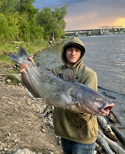 Channel Catfish