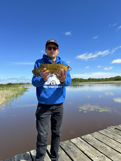 Bullhead