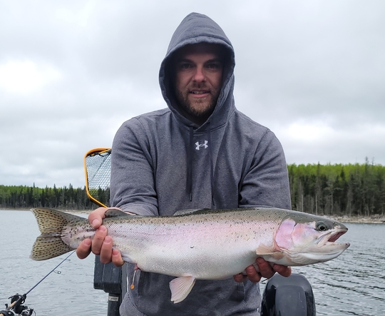 Rainbow Trout