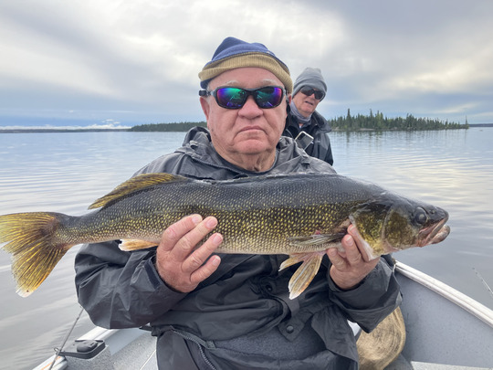 Walleye