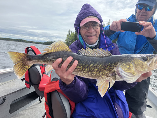 Walleye