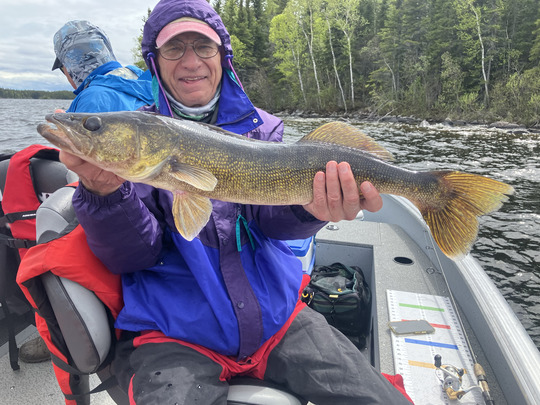 Walleye