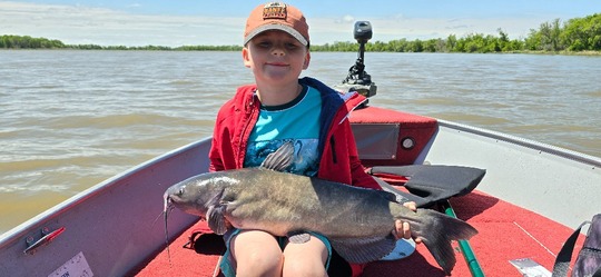 Channel Catfish
