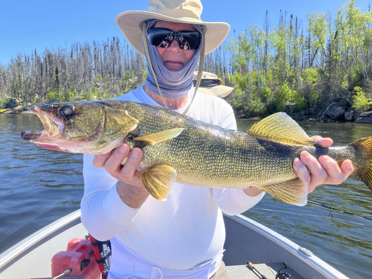 Walleye