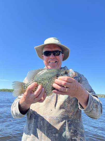 Black Crappie