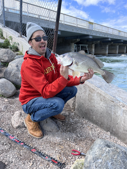 Freshwater Drum