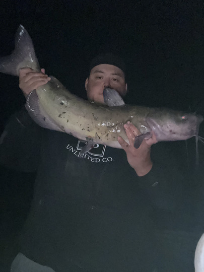 Channel Catfish