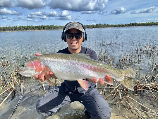 Rainbow Trout