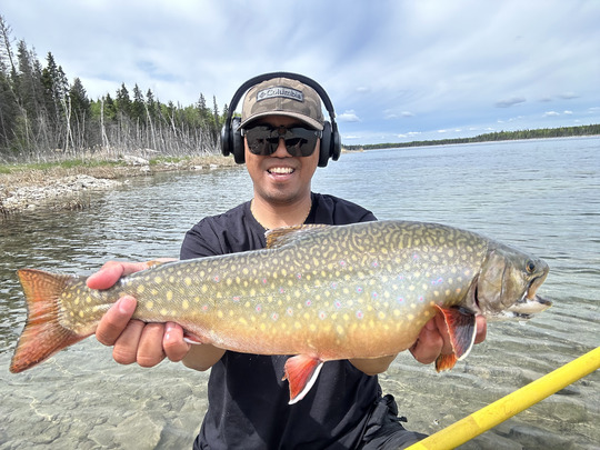 Brook Trout