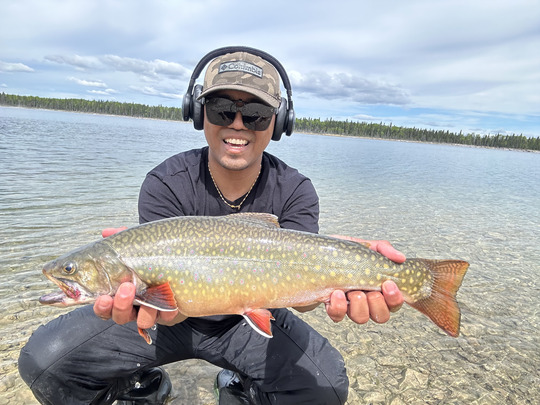 Brook Trout