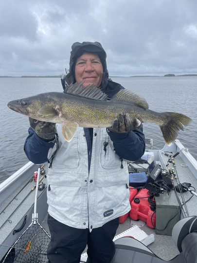 Walleye
