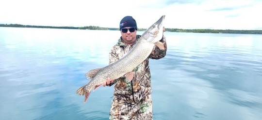 Northern Pike