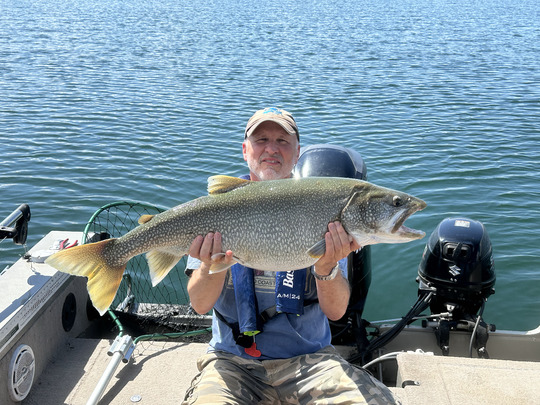 Lake Trout