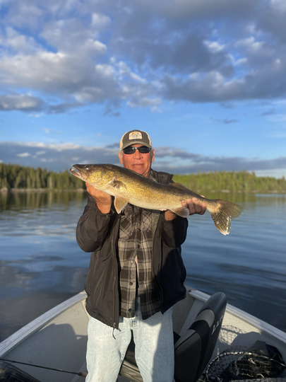 Walleye