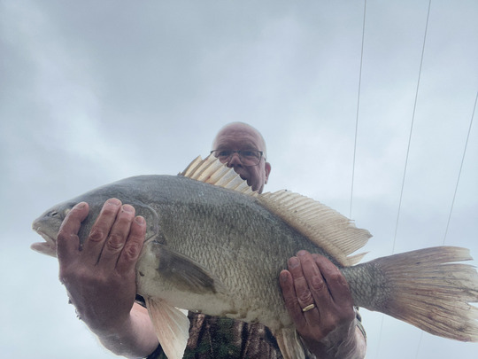 Freshwater Drum