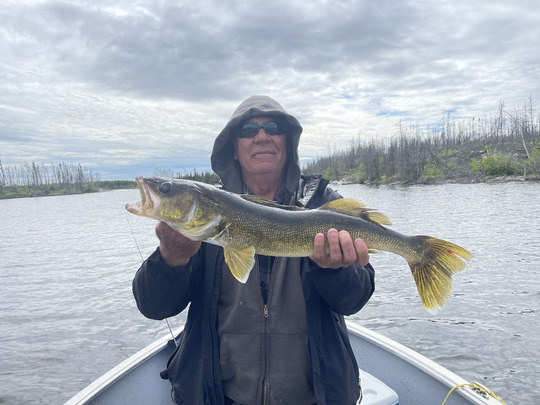 Walleye