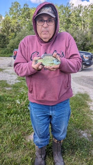 Sunfish