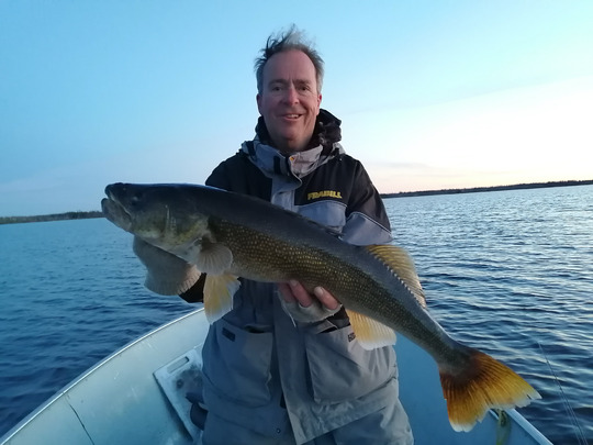 Walleye