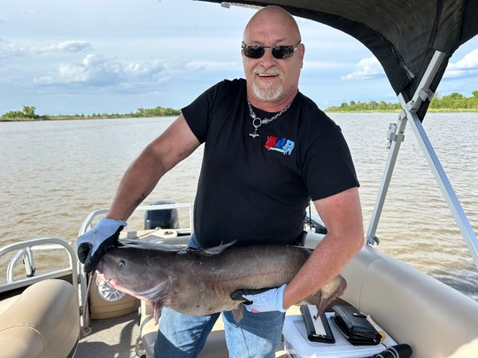Channel Catfish