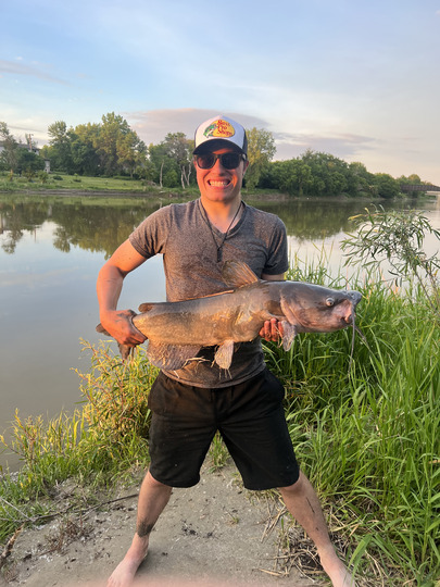 Channel Catfish