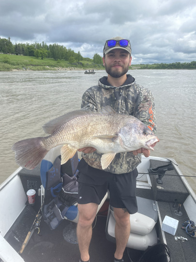 Freshwater Drum