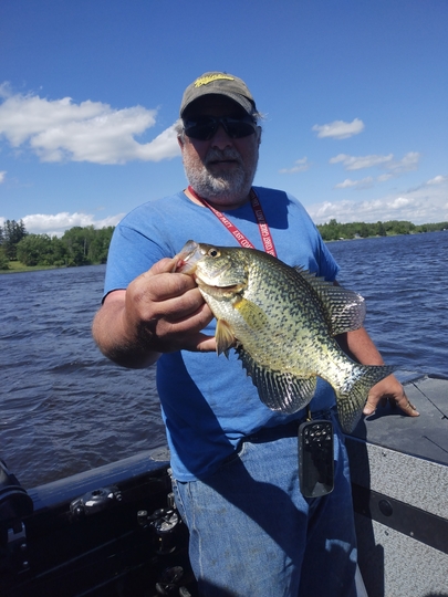 Black Crappie