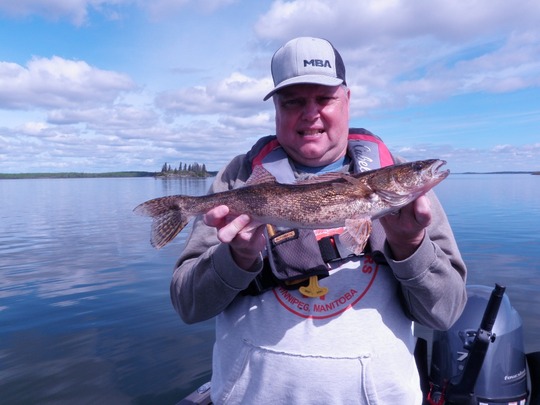 Sauger