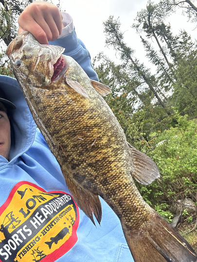 Smallmouth Bass