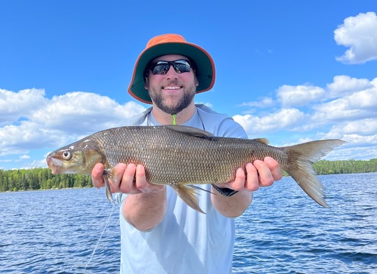 Lake Whitefish