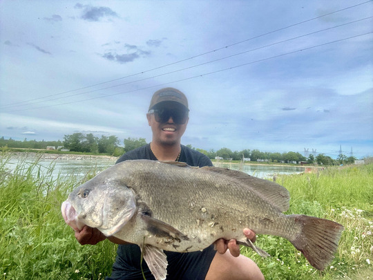 Freshwater Drum