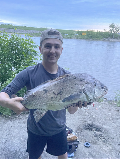 Freshwater Drum