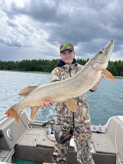 Northern Pike