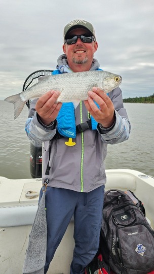 Goldeye