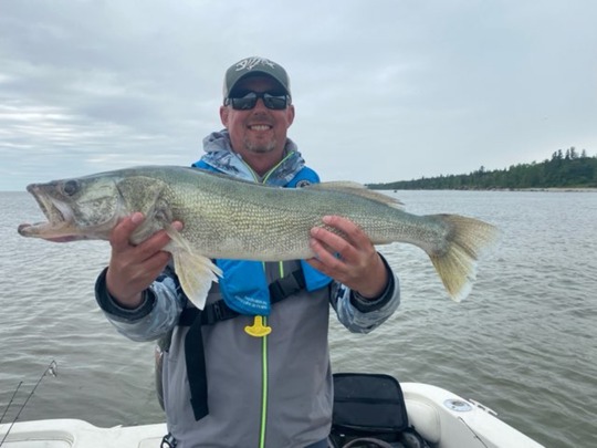 Walleye
