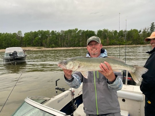 Walleye