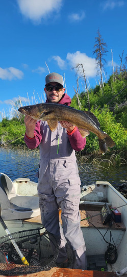 Walleye