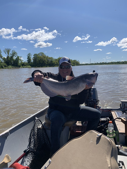 Channel Catfish