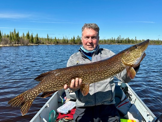 Northern Pike