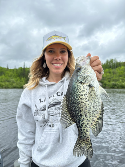 Black Crappie