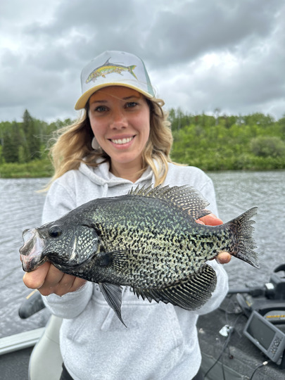 Black Crappie