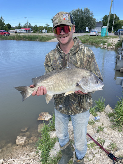 Freshwater Drum