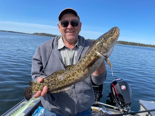 Burbot