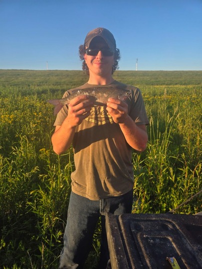 Goldeye