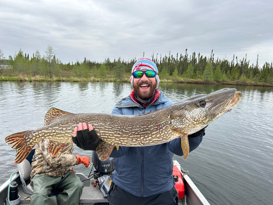 Northern Pike