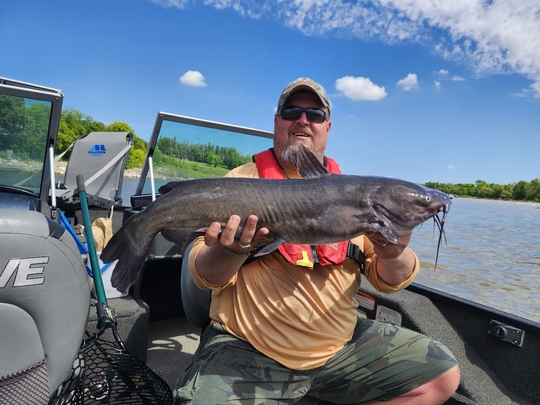 Channel Catfish
