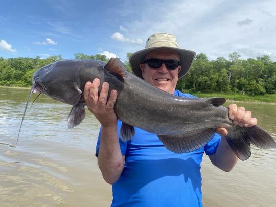 Channel Catfish