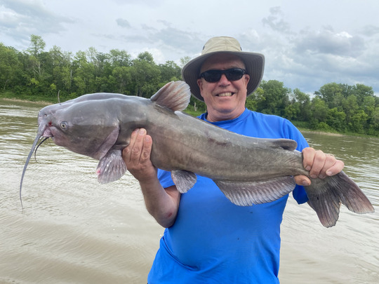 Channel Catfish