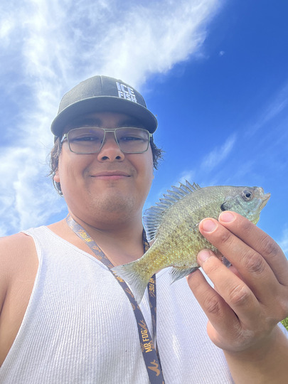 Sunfish