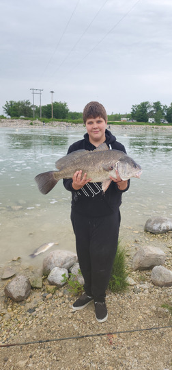 Freshwater Drum