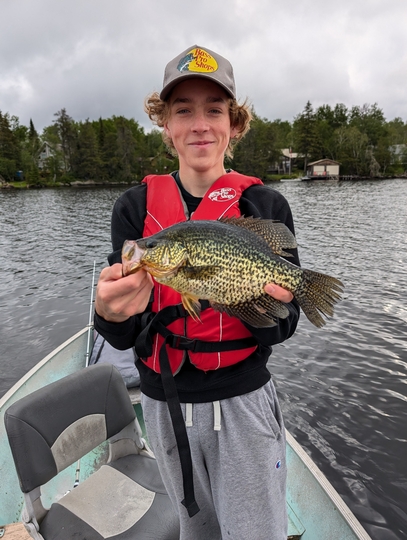 Black Crappie